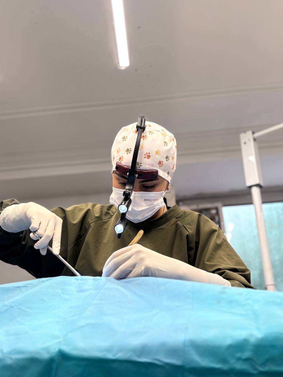 surgery